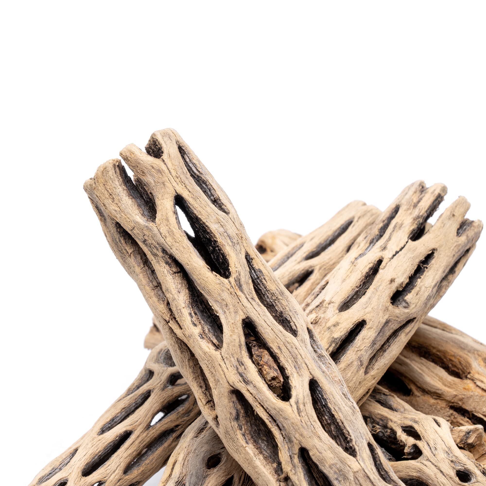 Cholla Driftwood Sticks