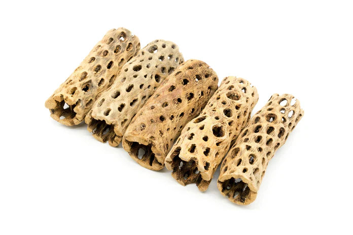 Cholla Driftwood Tunnel Tube